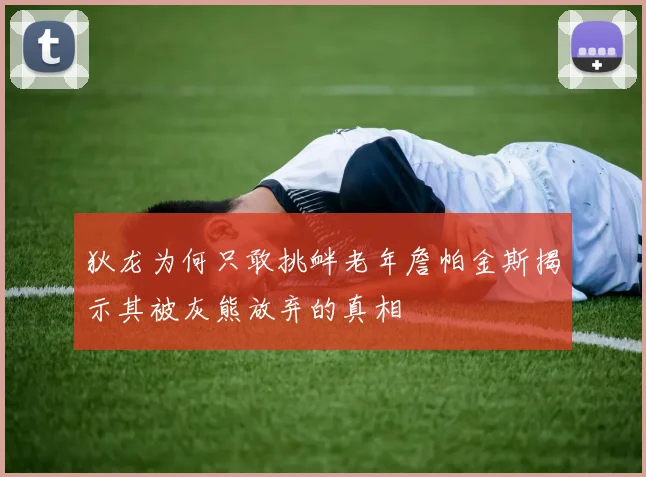 狄龙为何只敢挑衅老年詹帕金斯揭示其被灰熊放弃的真相
