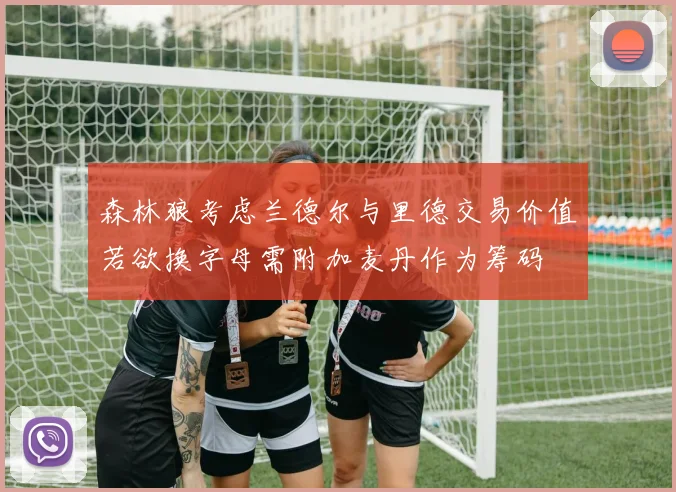 森林狼考虑兰德尔与里德交易价值若欲换字母需附加麦丹作为筹码