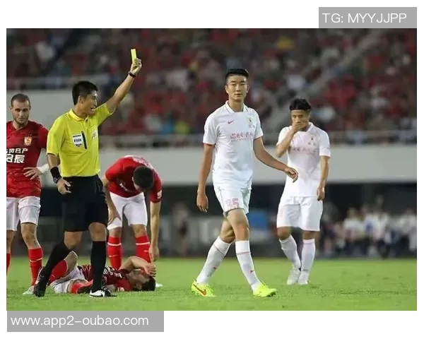 被戴琳拖欠救命钱球迷离世姑姑控诉辱骂事件引发社会关注与愤怒